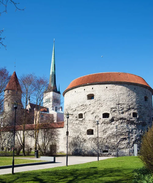 Таллиннская Башня Толстая Маргарита — стоковое фото
