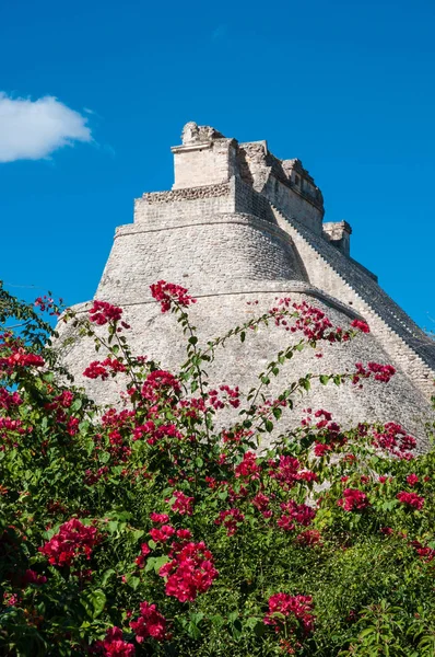 墨西哥尤卡坦半岛Uxmal的Adivino Pyramid — 图库照片