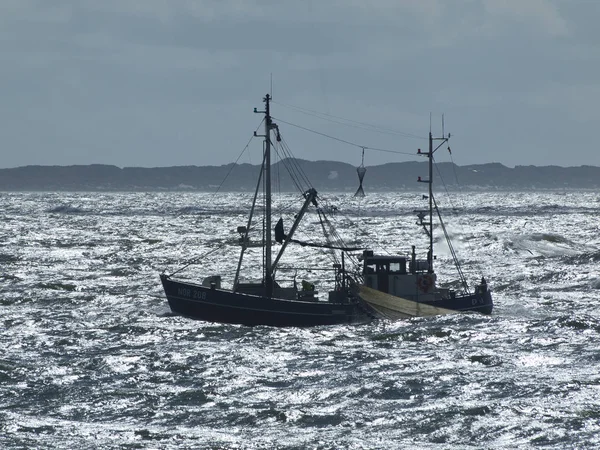 Uitzicht Een Prachtige Zeekust — Stockfoto