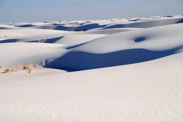 Panoramisch Uitzicht Duinen Selectieve Focus — Stockfoto