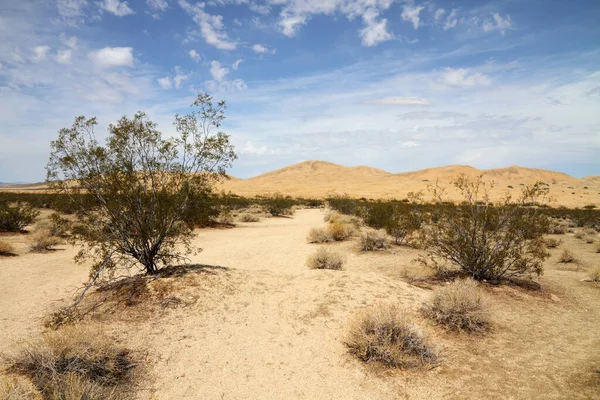Mojave Woestijn Gelegen Het Zuidoosten Van Californië Het Zuiden Van — Stockfoto
