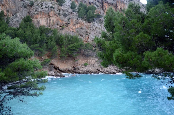 Güney Sahili Sahilinde — Stok fotoğraf