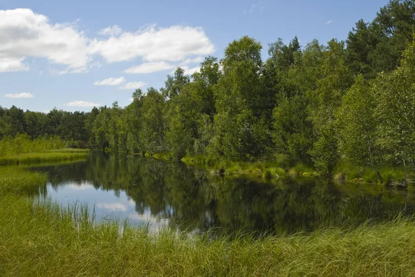 Lac Dans Moulin Lande — Photo