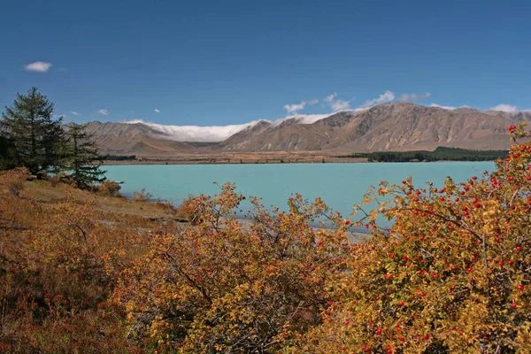 Tekapo Gölü Yeni Zelanda — Stok fotoğraf