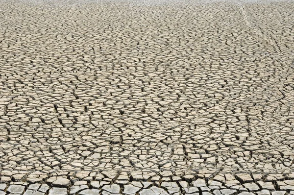 乾燥地域における乾燥土壌 — ストック写真