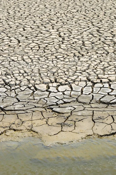 Cracked Soil Water — Stock Photo, Image
