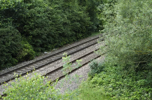 Vías Férreas Vistas Través Árboles Setos Campo Inglés Verano — Foto de Stock