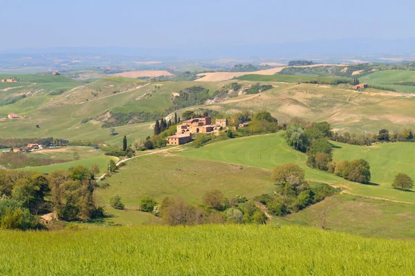 Typische Toskanische Landschaft Mit Baumreihen Und Bauernhäusern Italien — Stockfoto