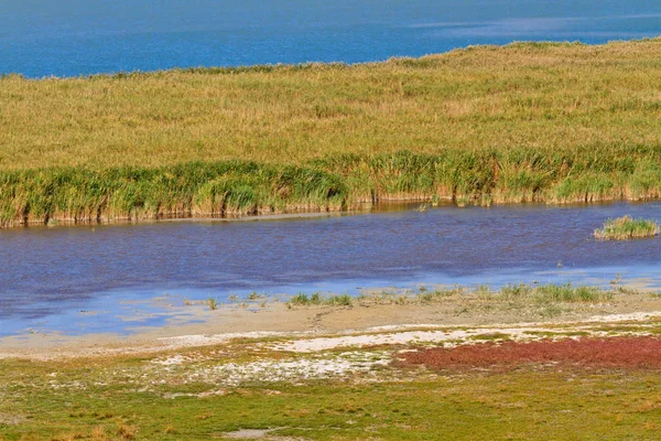 Paisaje Del Belt Reed Parque Nacional Lago Neusiedl Seewinkel Fronteras — Foto de Stock