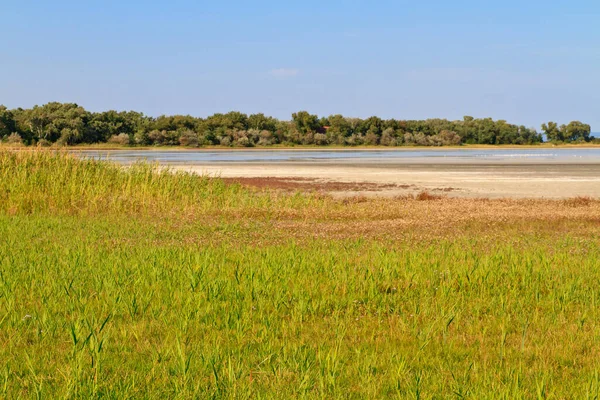 Paisagem Salina Lago Salgado Parque Nacional Lago Neusiedl Seewinkel Fronteira — Fotografia de Stock