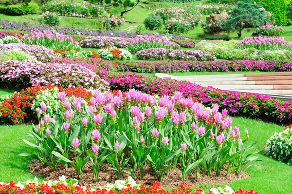 Mae Fah Luang Garden Locate Doi Tung Thailand — Stock Photo, Image