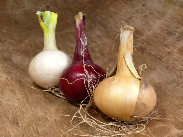 Vegetarisk Mat Selektivt Fokus — Stockfoto