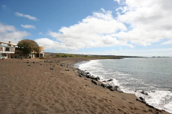 Insel Genovesa Benannt Nach Der Italienischen Stadt Genua — Stockfoto