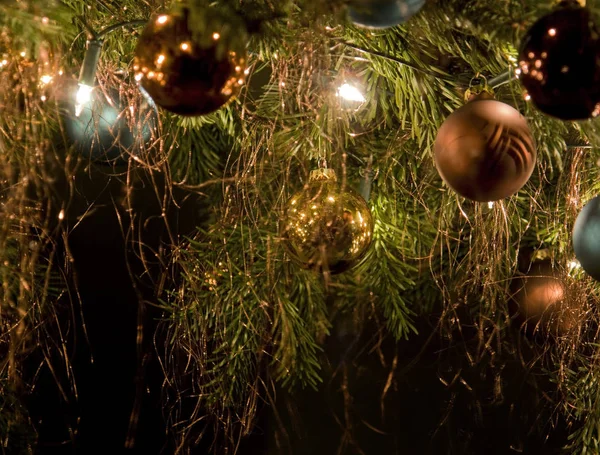 빛나는 전나무 가지와 크리스마스 — 스톡 사진