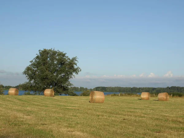 Vista Pittoresca Del Paesaggio Campagna — Foto Stock