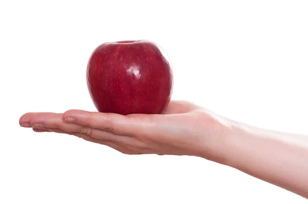 Weißer Isolierter Roter Apfel Auf Einer Weiblichen Hand — Stockfoto