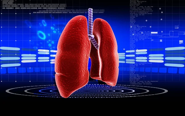 Digitale Illustration Menschlicher Lungen Farbigen Hintergrund — Stockfoto