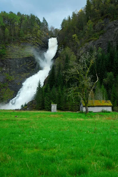 Wasserfall Natur Fluss Und Umwelt — Stockfoto