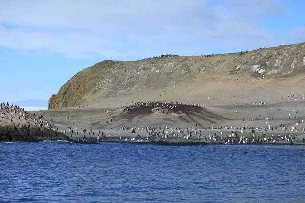 Ghiacciaio Antartico Polo Nord — Foto Stock