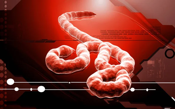 Цифрова Ілюстрація Вірусу Ебола — стокове фото