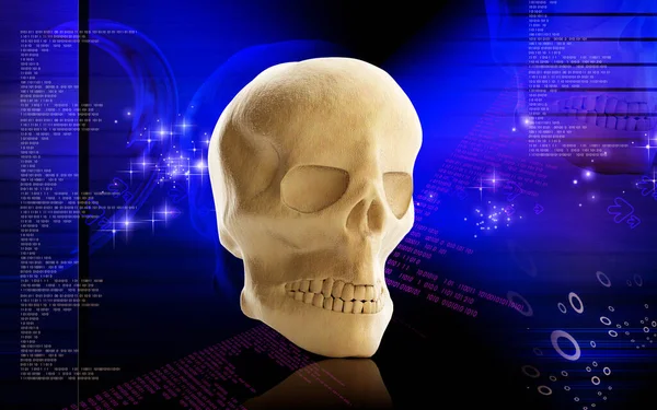 두개골의 배경을 디지털로 — 스톡 사진