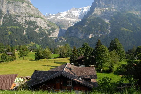 Ορεινός Κόσμος Κοντά Στο Grindelwald — Φωτογραφία Αρχείου