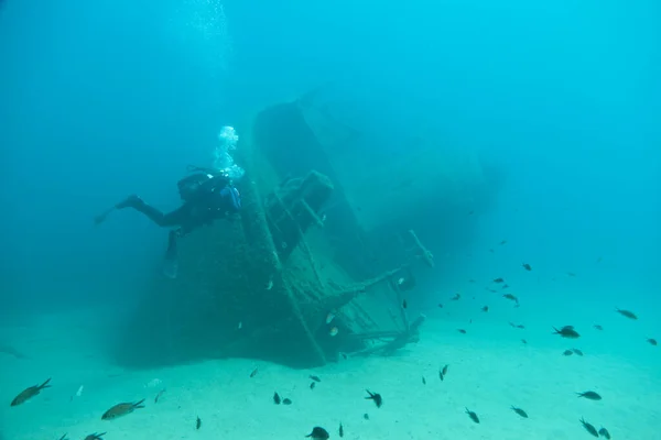 Mundo Submarino Naufragio Cerca Pomonte Elba Italia Mar Mediterráneo — Foto de Stock