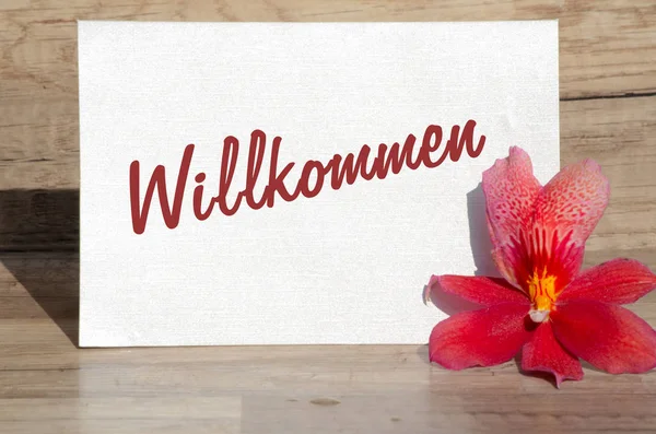 Willkommen Text Zeichen Blumen Gutschein — Stockfoto