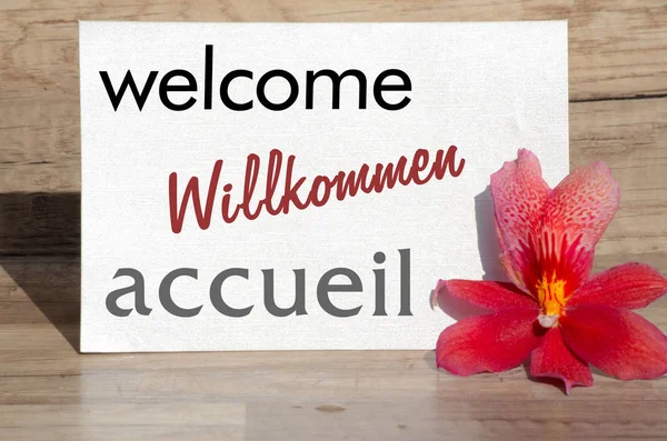Welcome Text Sign Flowers Voucher — Stock Photo, Image