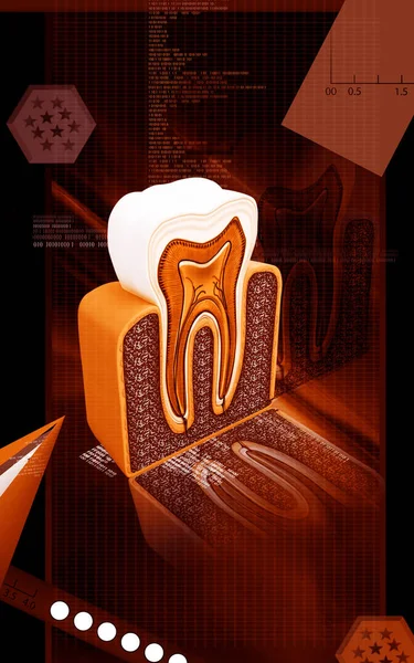 Ilustración Digital Sección Transversal Los Dientes Fondo Color — Foto de Stock