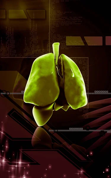 Digital Illustration Human Lungs Colour Background — 图库照片