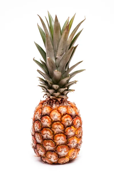 Kleine Miniatur Ananas Vor Weißem Hintergrund — Stockfoto