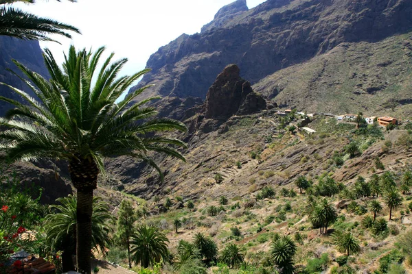 Teneriffa Den Största Spaniens Kanarieöarna — Stockfoto