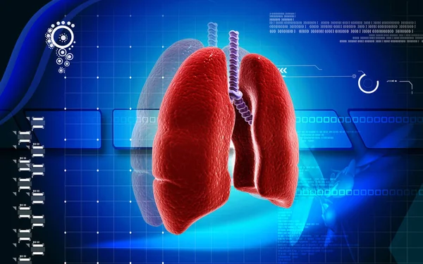 Digital Illustration Human Lungs Colour Background — Stockfoto