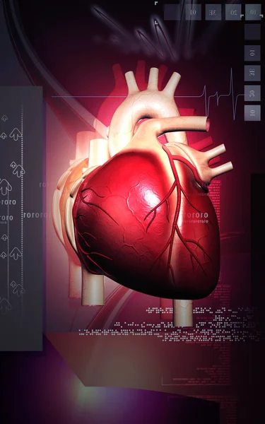 Illustrazione Digitale Del Cuore Sullo Sfondo Colori — Foto Stock