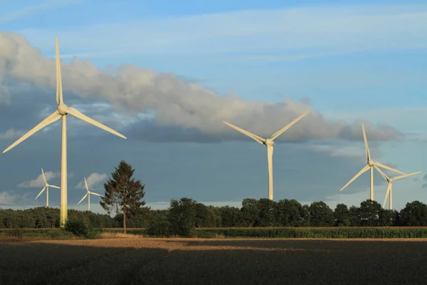 Schilderachtig Uitzicht Landschap Met Windmolengebouw — Stockfoto