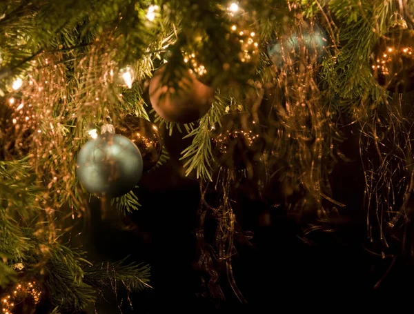 Beleuchtete Tannenzweige Und Weihnachtsdekoration — Stockfoto