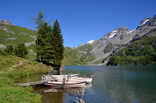 Vista Panorámica Del Majestuoso Paisaje Los Alpes — Foto de Stock