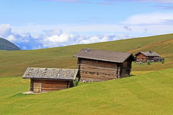 セイザー アームの高山の小屋 — ストック写真