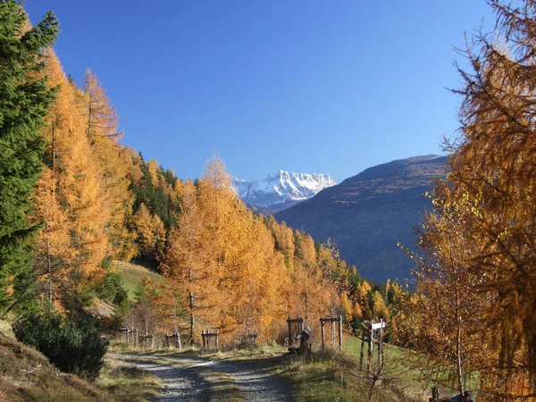 Temporada Outono Nos Alpes — Fotografia de Stock