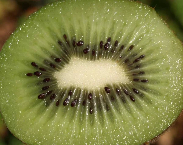 Fructe Proaspete Kiwi Fructe Tropicale Verzi Gustoase — Fotografie, imagine de stoc