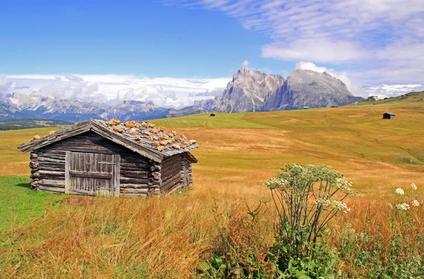 Seiser Alm Zuid Tirol — Stockfoto