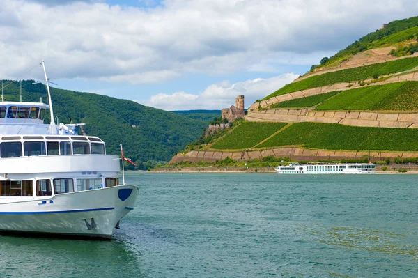 Rhein Ландшафт Руїнами Виноградників Замків Зародок — стокове фото