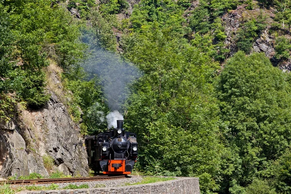 Minyatür Demiryolu Reçine Içinde Selketalbahn — Stok fotoğraf