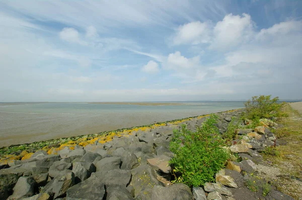 Wadden Havet Vallen Vid Stellendam Södra Holland — Stockfoto