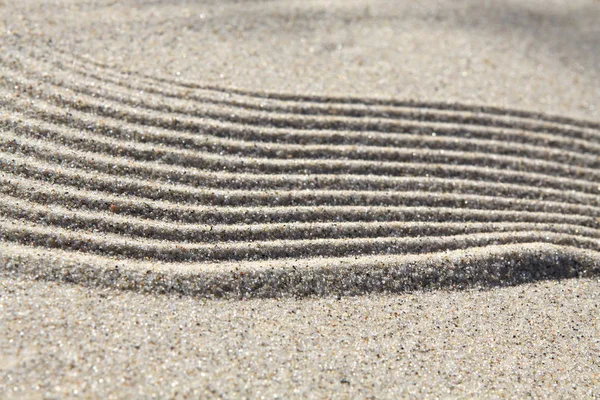 Praia Areia Com Conchas Marinhas — Fotografia de Stock