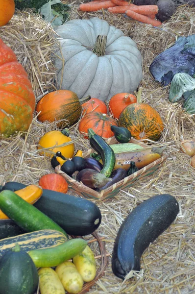 Légumes Sains Nourriture Végétarienne — Photo