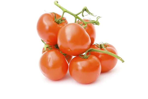 Pomodori Maturi Rossi Vicino — Foto Stock