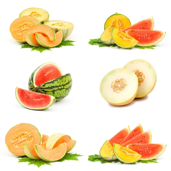 Recolección Frutas Frescas Melón —  Fotos de Stock