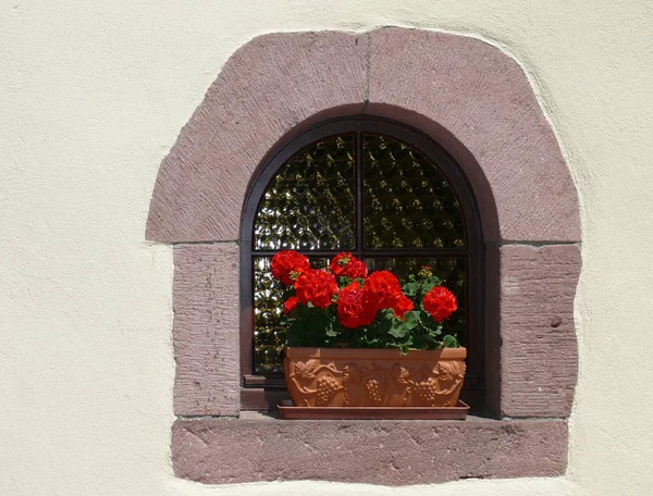 Blumenfenster Kaysersberg Alsacia — Foto de Stock
